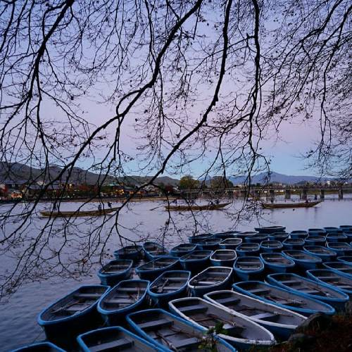 نورالدین محمدی نژاد ای خدا بالا سری چطو نیبینی ناکسیاد بینمو
